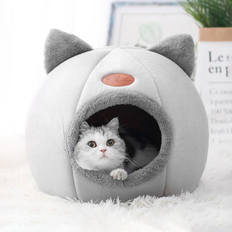 Cozy Bed