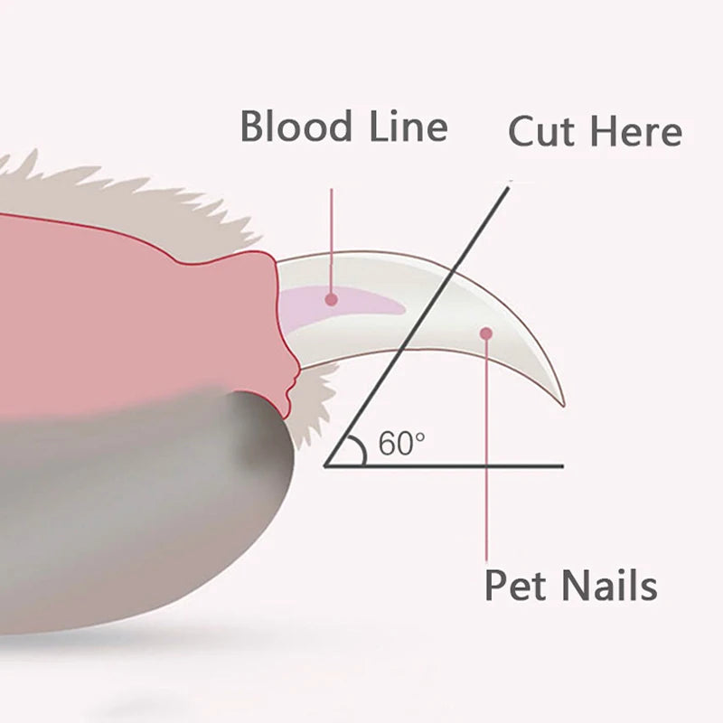 Nail Trimmer