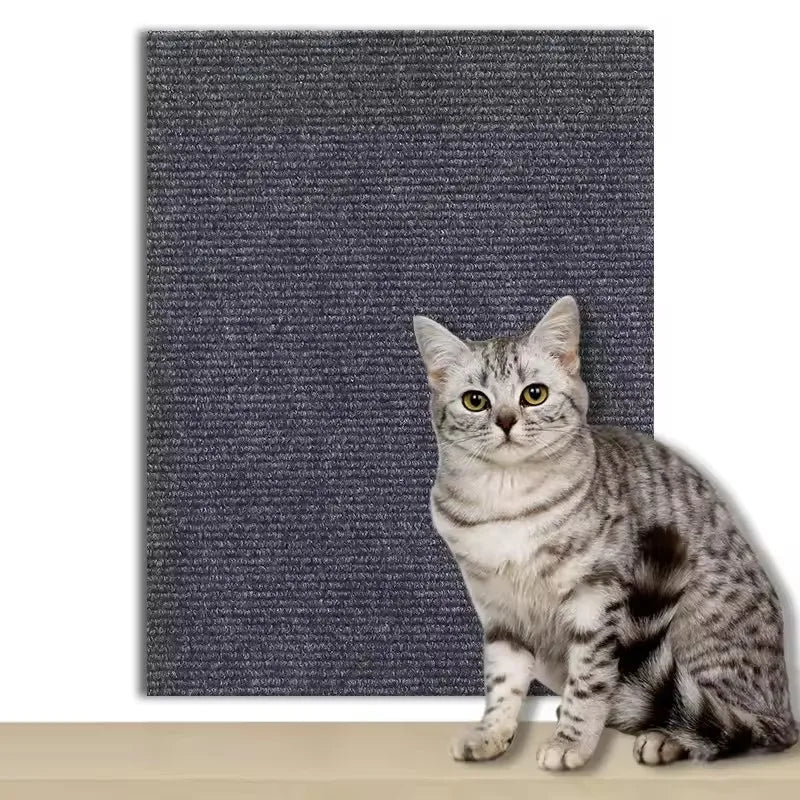 Cat Armor