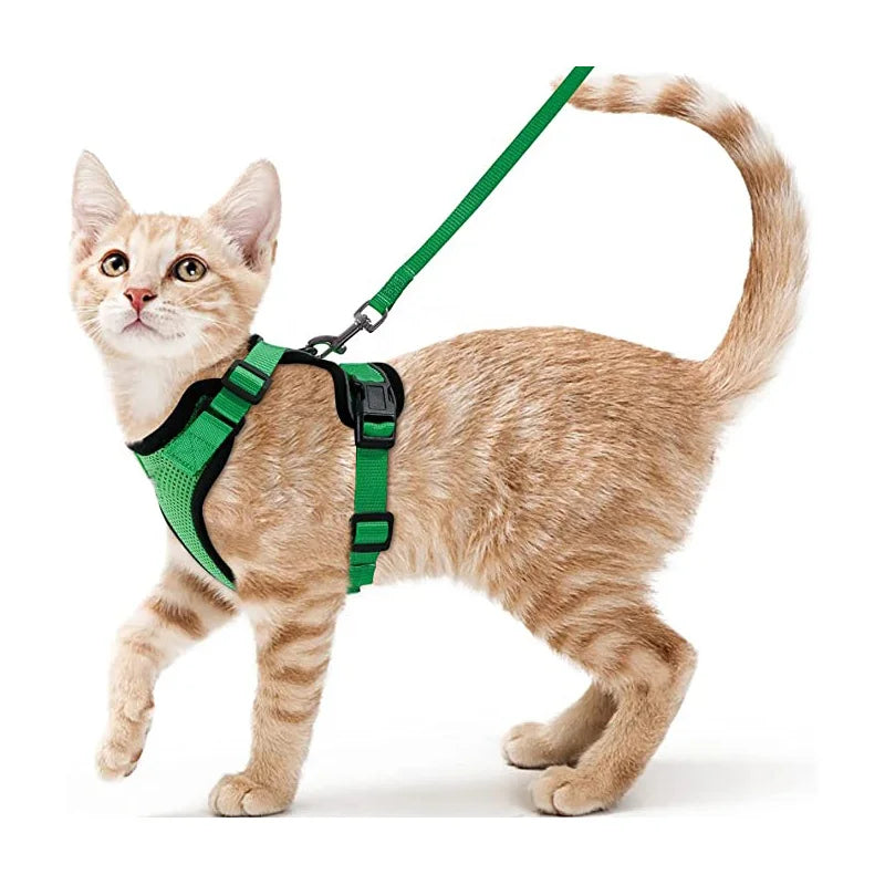 Cat Harness Set