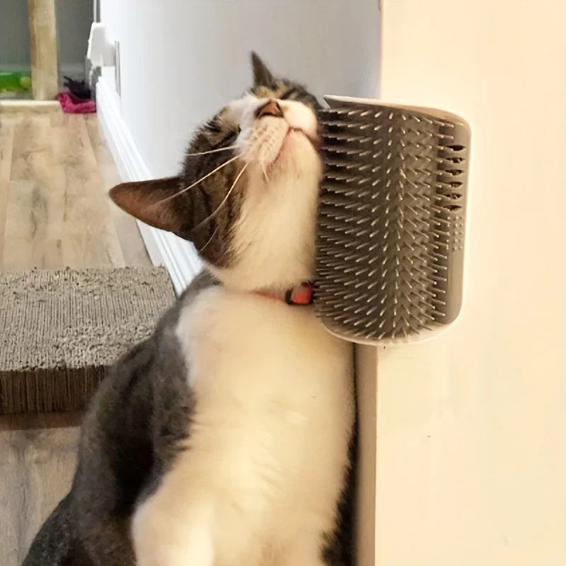 Groomer Brush