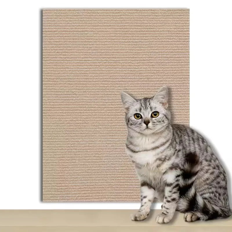 Cat Armor