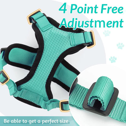 Cat Harness Set