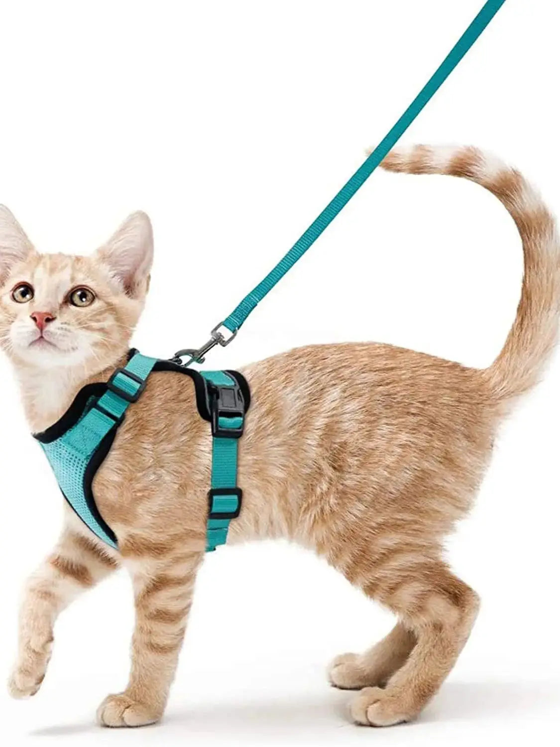 Cat Harness Set
