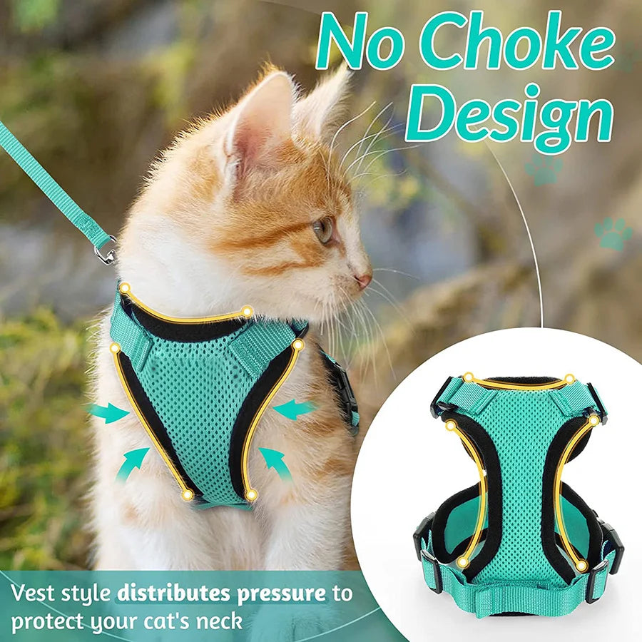 Cat Harness Set