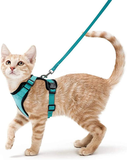 Cat Harness Set
