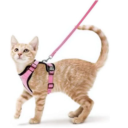 Cat Harness Set