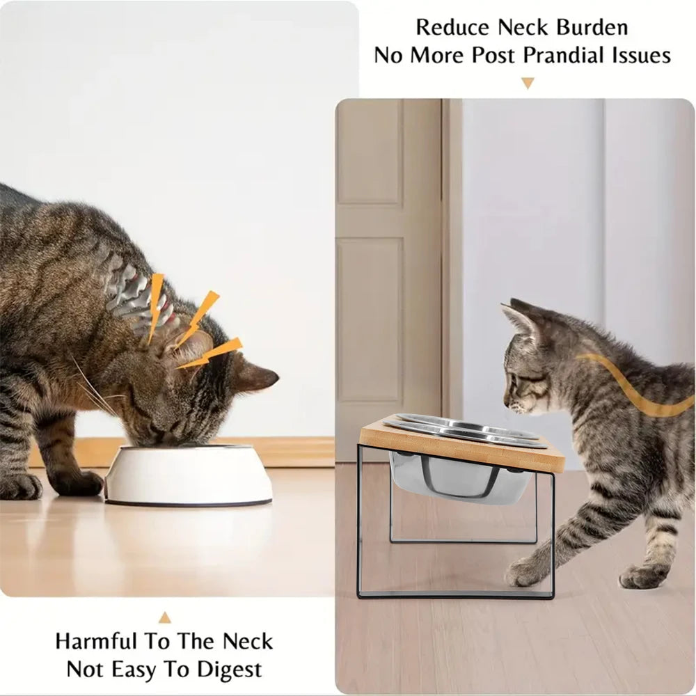 Food Bowls