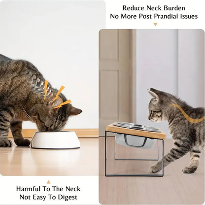 Food Bowls