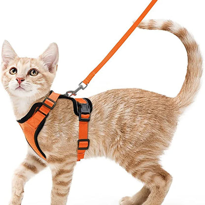 Cat Harness Set