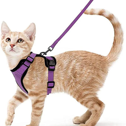 Cat Harness Set