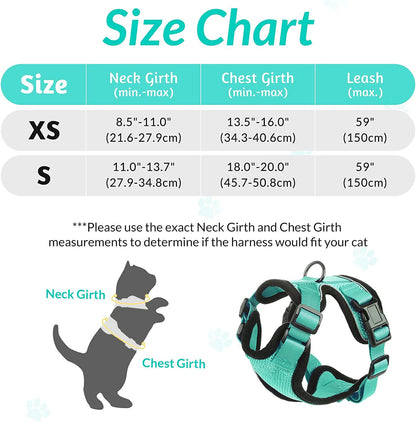 Cat Harness Set