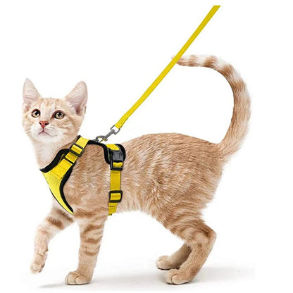 Cat Harness Set